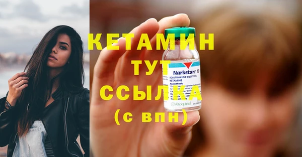 крисы Армянск