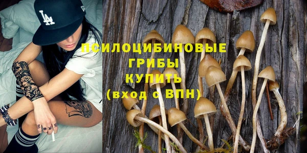крисы Армянск